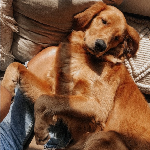 MEET YOUR POSHER - Picture 14 of 16